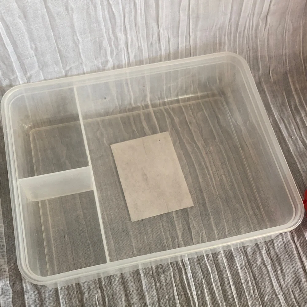 SLOTH themed rectangle Tupperware like container food storage with 3 sections